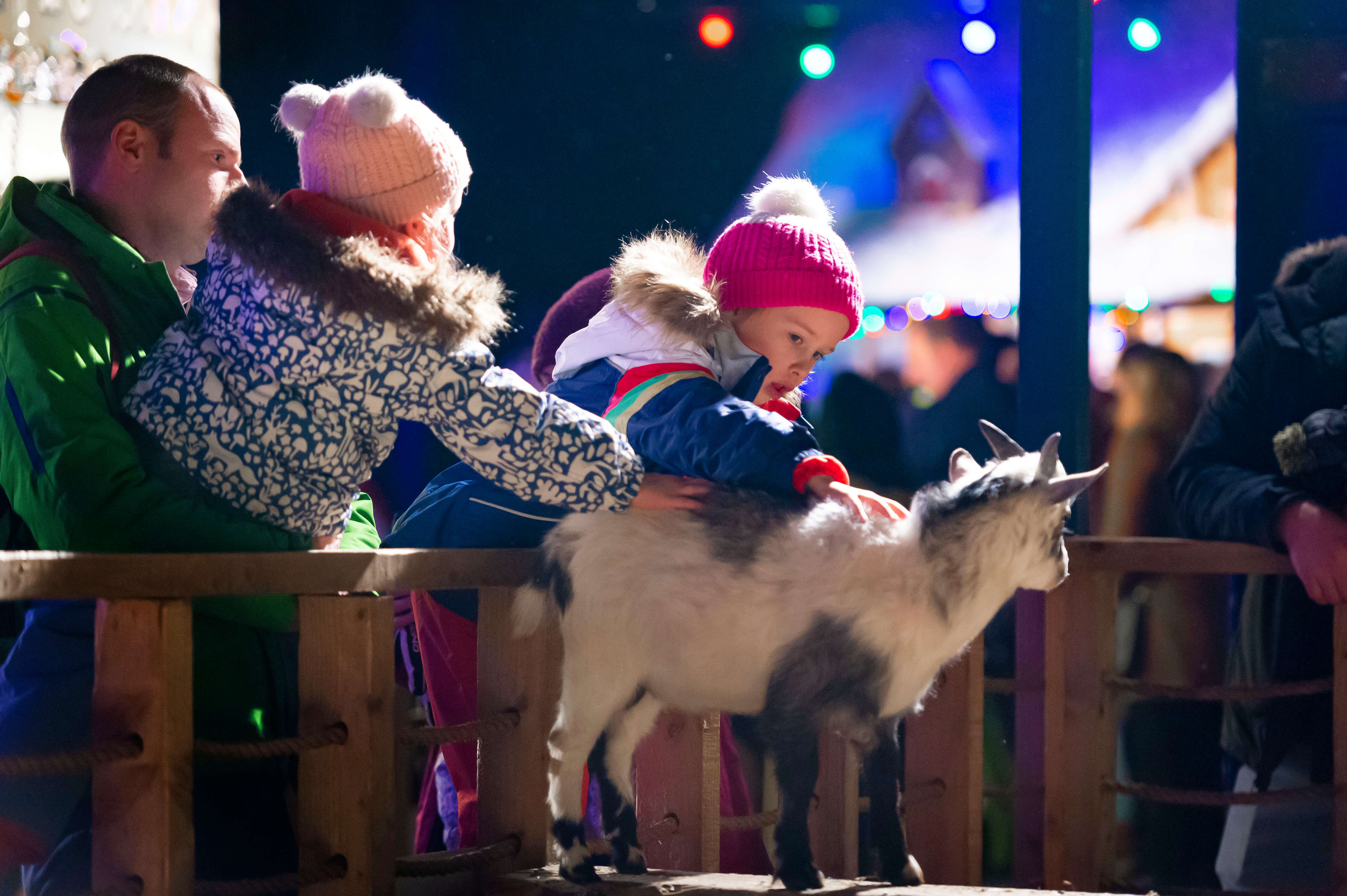 Santa's Photo Gallery Santa's Winter Wonderland SnowDome